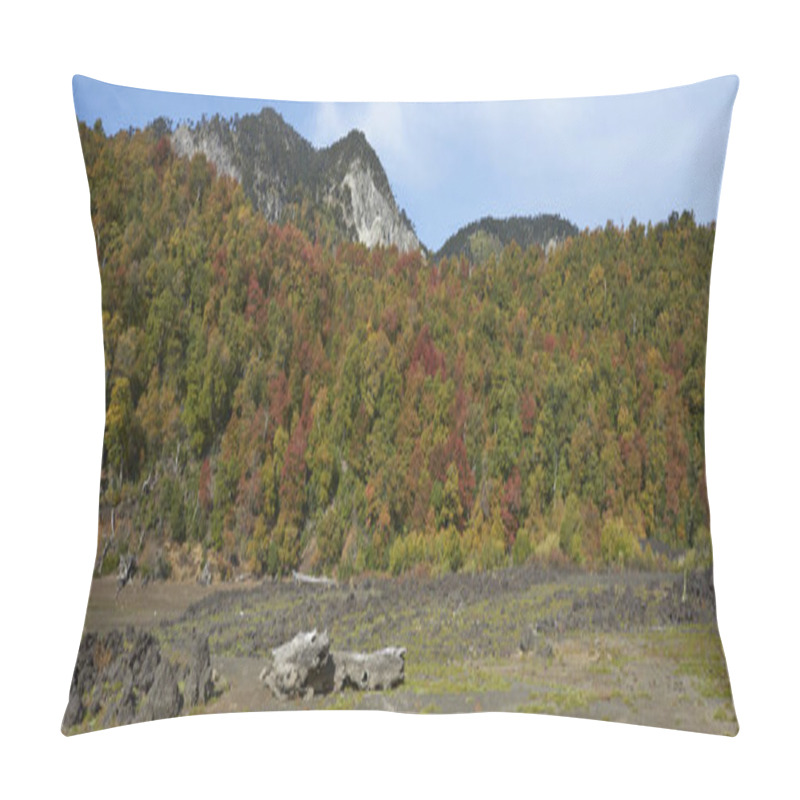 Personality  Autumn In Conguillio National Park In Southern Chile. Trees In Autumn Foliage In The Foreground; Evergreen Araucania Trees (Araucaria Araucana) Beyond On The Higher Rocky Mountain Tops. Pillow Covers