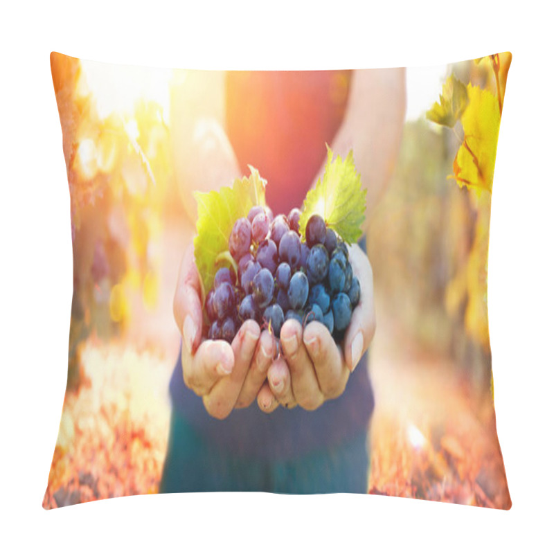 Personality  Grapes In Hands In Vineyard At Sunset With Flare Effects And Selective Focus On Fruit Pillow Covers