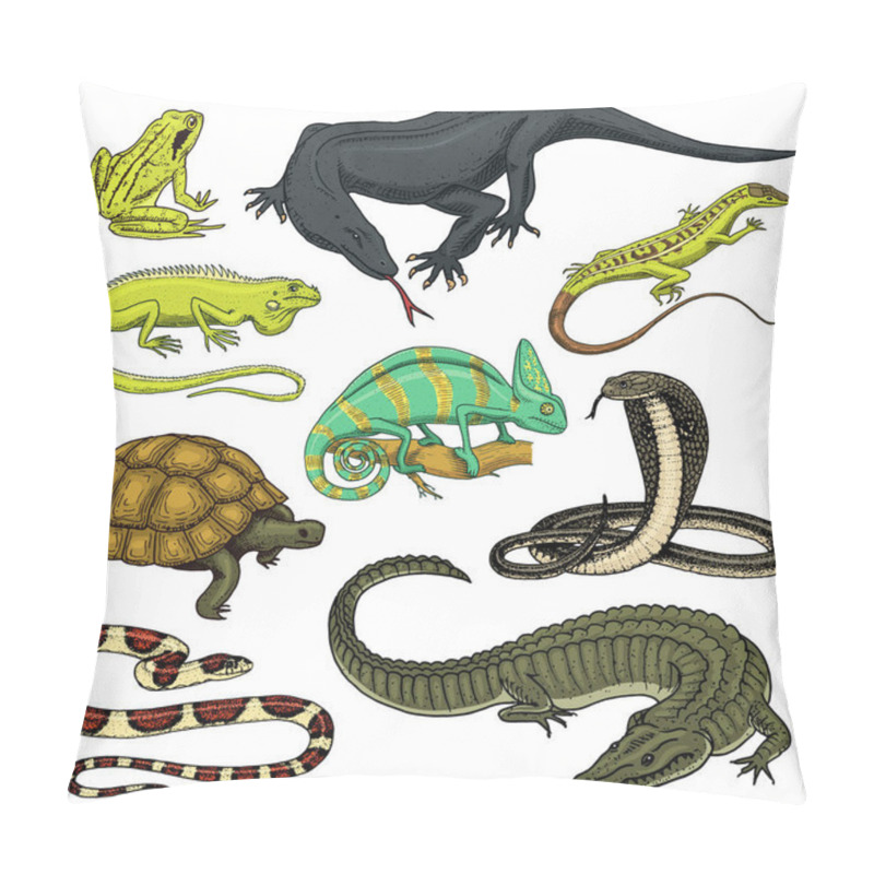 Personality  Set Of Reptiles And Amphibians. Wild Crocodile, Alligator And Snakes, Monitor Lizard, Chameleon And Turtle. Pet And Tropical Animal. Engraved Hand Drawn In Old Vintage Sketch. Vector Illustration. Pillow Covers