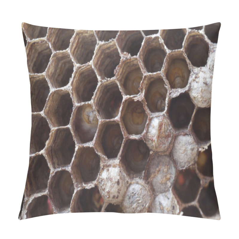 Personality  Wasps Nest Pillow Covers