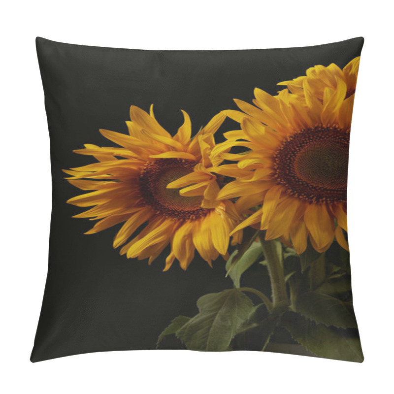 Personality  Summer Bouquet With Beautiful Orange Sunflowers, Isolated On Black Pillow Covers