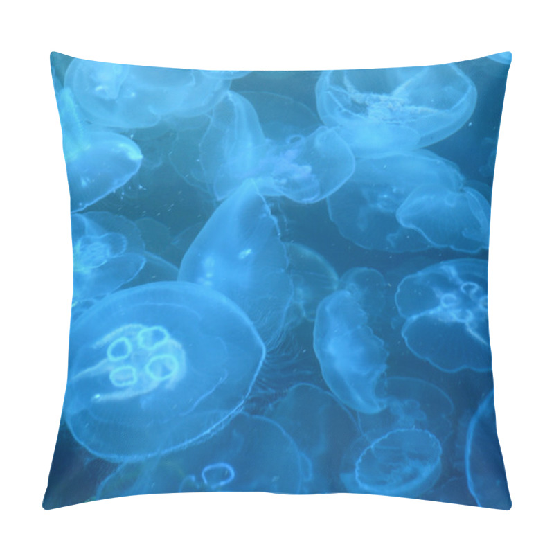 Personality  Jellyfishes Pillow Covers