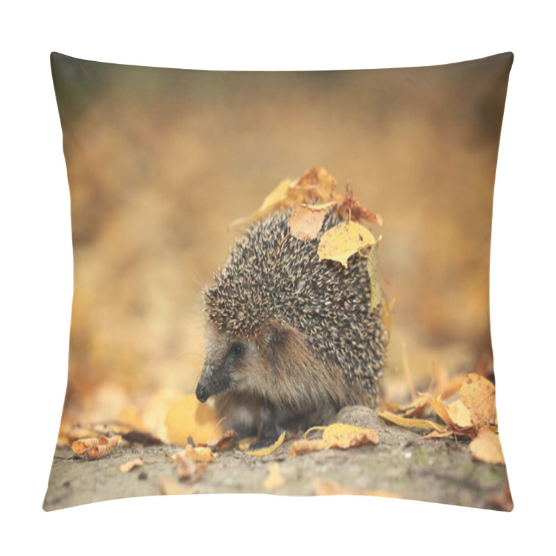 Personality  Hedgehog Pillow Covers