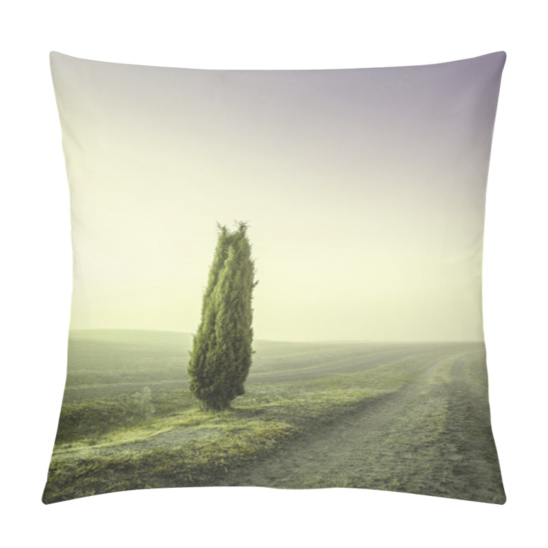 Personality  Tuscan Cypress Trees On The Fields In A Fantastic Light Of The R Pillow Covers