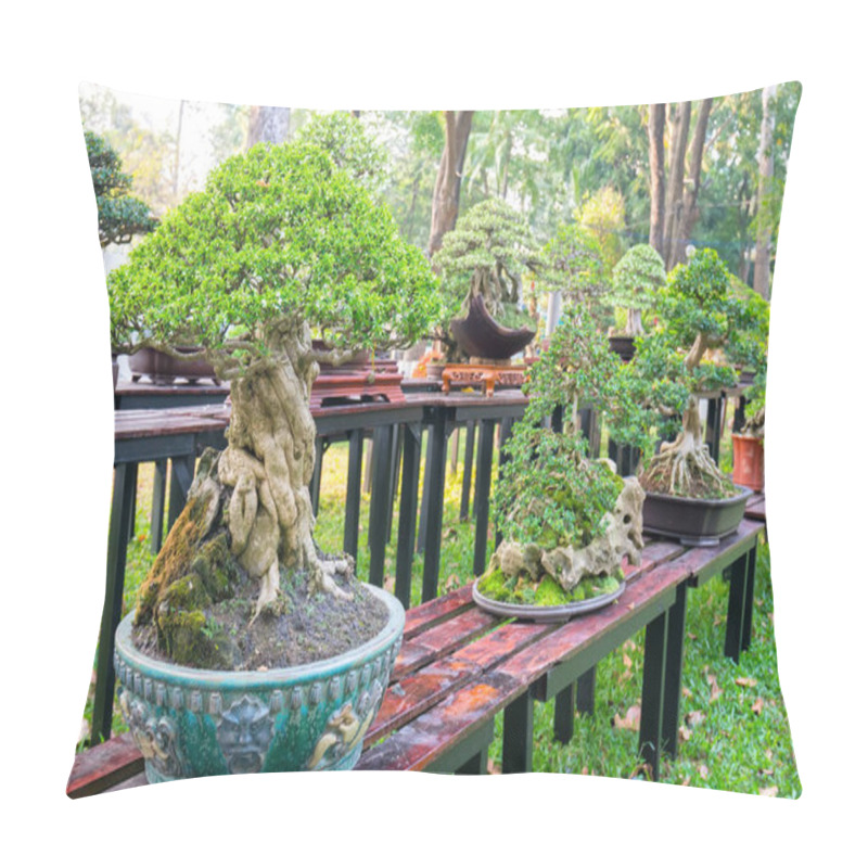 Personality  Green Bonsai Tree In A Pot Or Tray Plant In The Shape Of The Stem Is Shaped Artisans Create Beautiful Art In Nature Pillow Covers