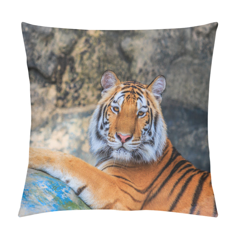 Personality  Wild Tiger Animal Pillow Covers