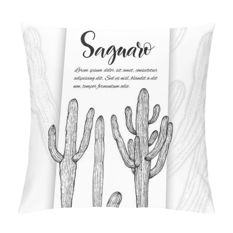 Personality  Sketch Linear Cactus Ans Succulents Pillow Covers