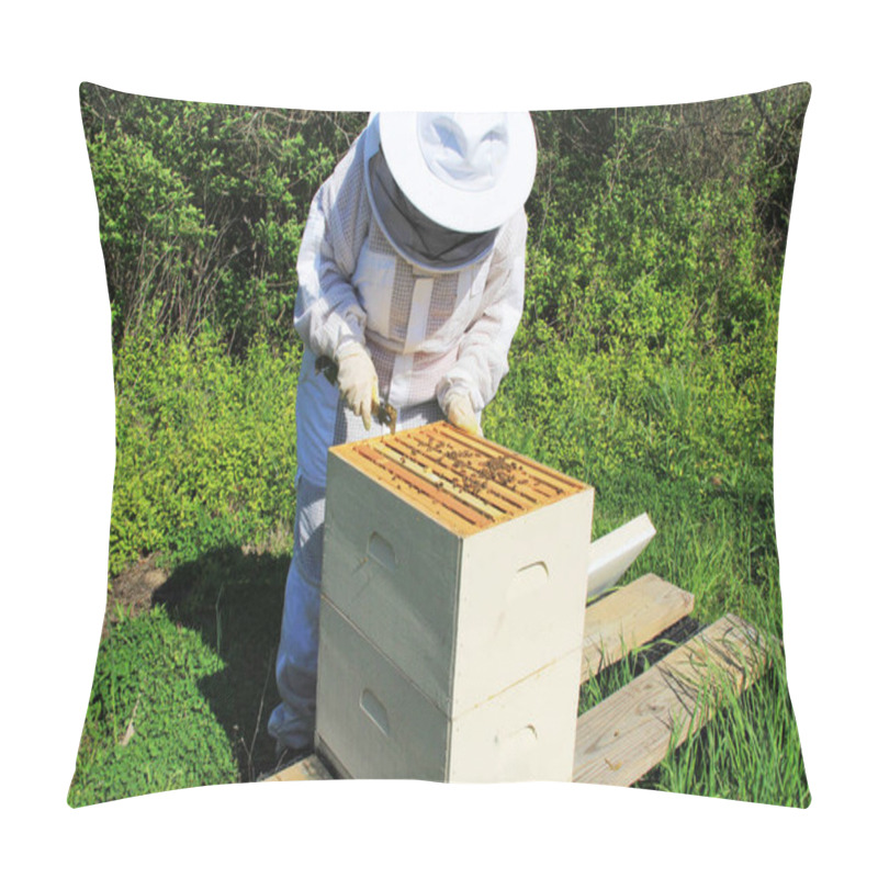 Personality  A Bee Keeper Pulling Frames Apart In A Langstroth  Beehive Using A Hive Tool With Green Plant Background Copy Space.   Pillow Covers