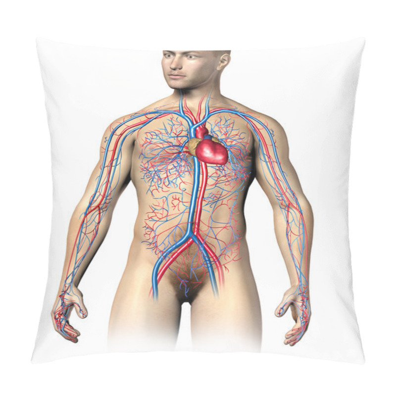 Personality  Man Human Circulatory System Pillow Covers