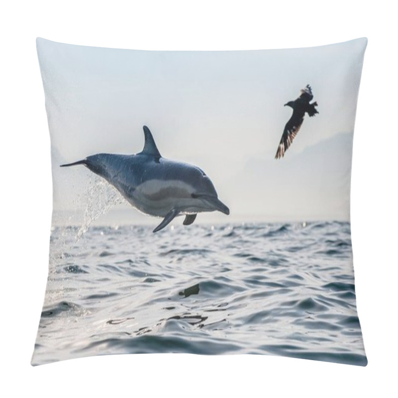 Personality  A Dolphin And A Bird. The Dolphin Jumps Out Of The Water And Skua Is Flying By. The Long-beaked Common Dolphin. Scientific Name: Delphinus Capensis. False Bay. South Africa. Pillow Covers