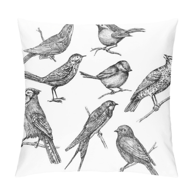 Personality  Wild Birds Sketches Pillow Covers