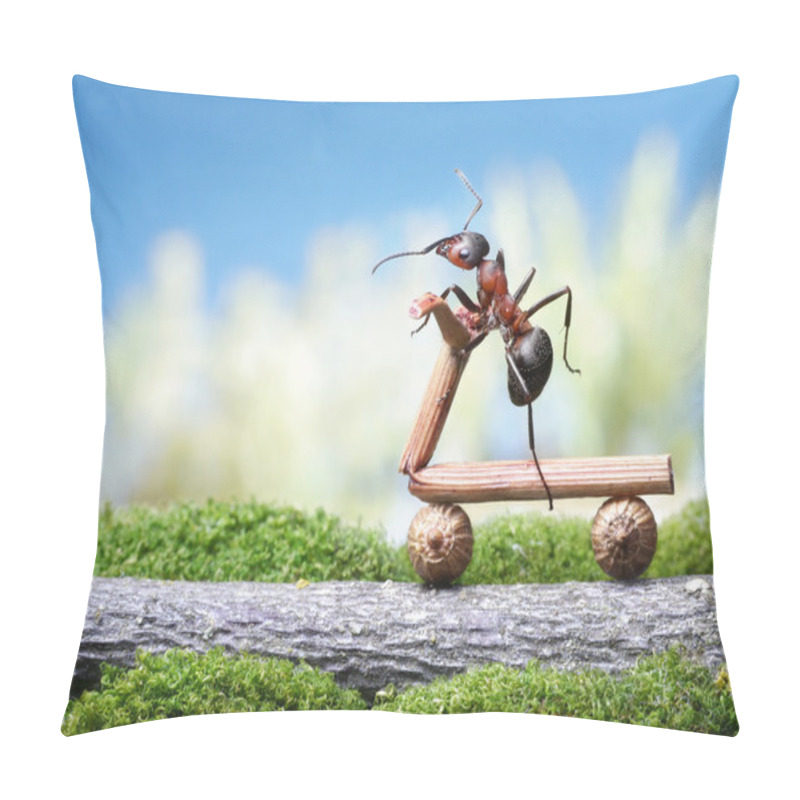 Personality  Ant Run Bicycle On Road Pillow Covers