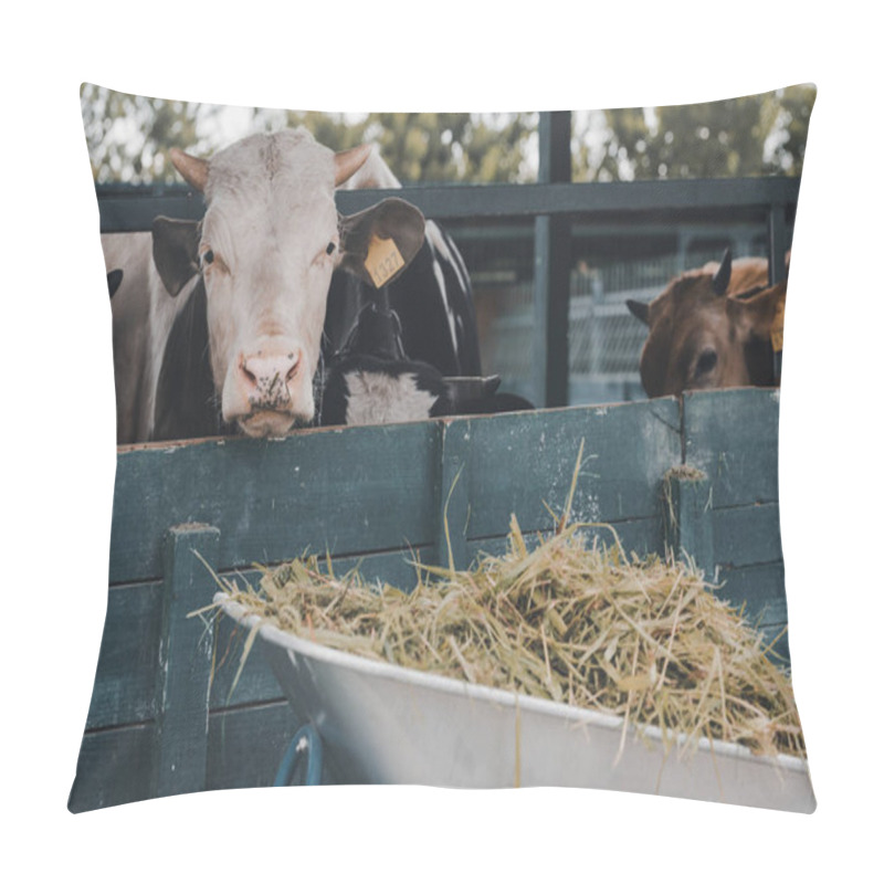 Personality  Close-up View Of Wheelbarrow With Dry Grass And Cows In Stall At Farm Pillow Covers