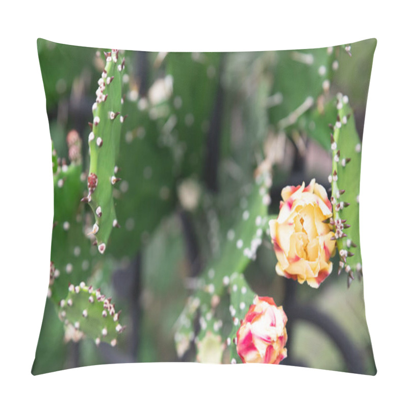 Personality  The Dramatic Contrast Of Soft Drooping Prickly Pear (Opuntia Monacantha) Flowers Against Spiky Pads, Symbolizing Nature's Delicate Yet Resilient Balance, Captured In Striking Close-up Detail Pillow Covers