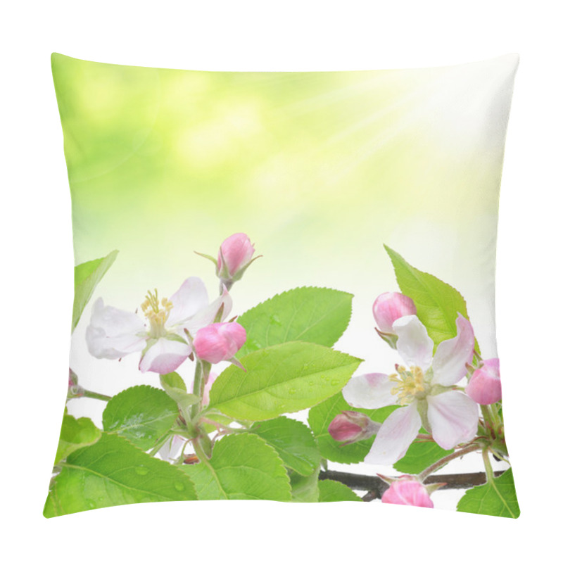 Personality  Spring Blossoms Pillow Covers