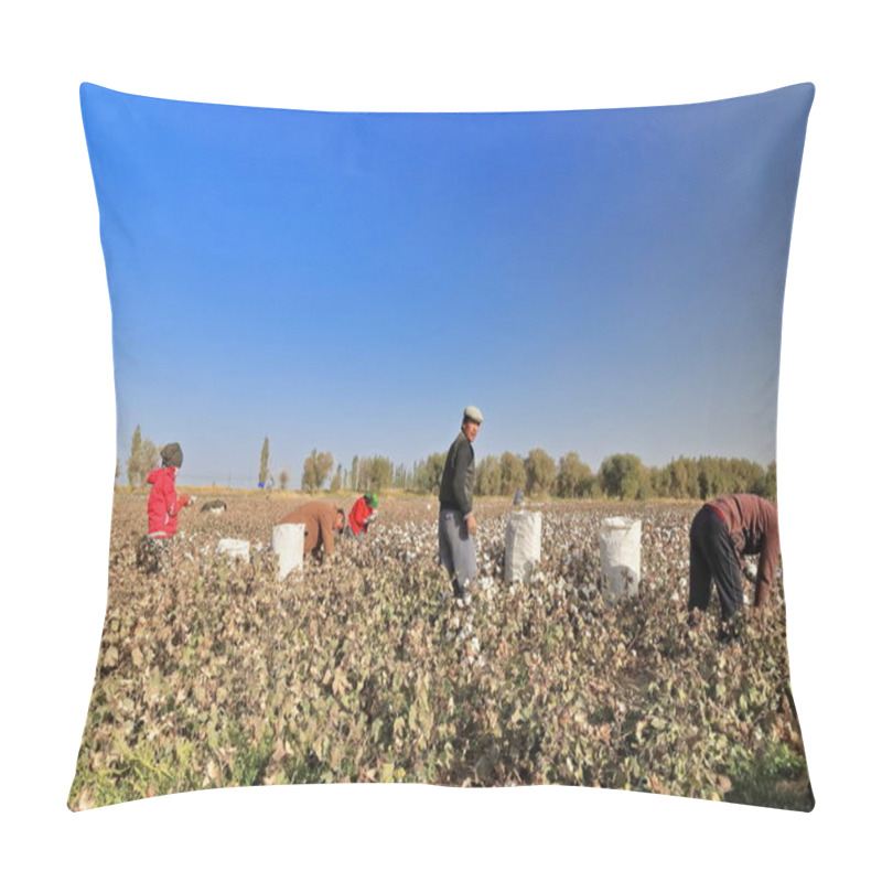 Personality  Qiemo, China-October 10, 2017: Uyghur Farmers Pick Cotton By Hand In A Field On The Outskirts Of Town To Put It Into Large Plastic Sacks-then To Load Them On Trailer Trucks-carry To The Cotton Gin. Pillow Covers