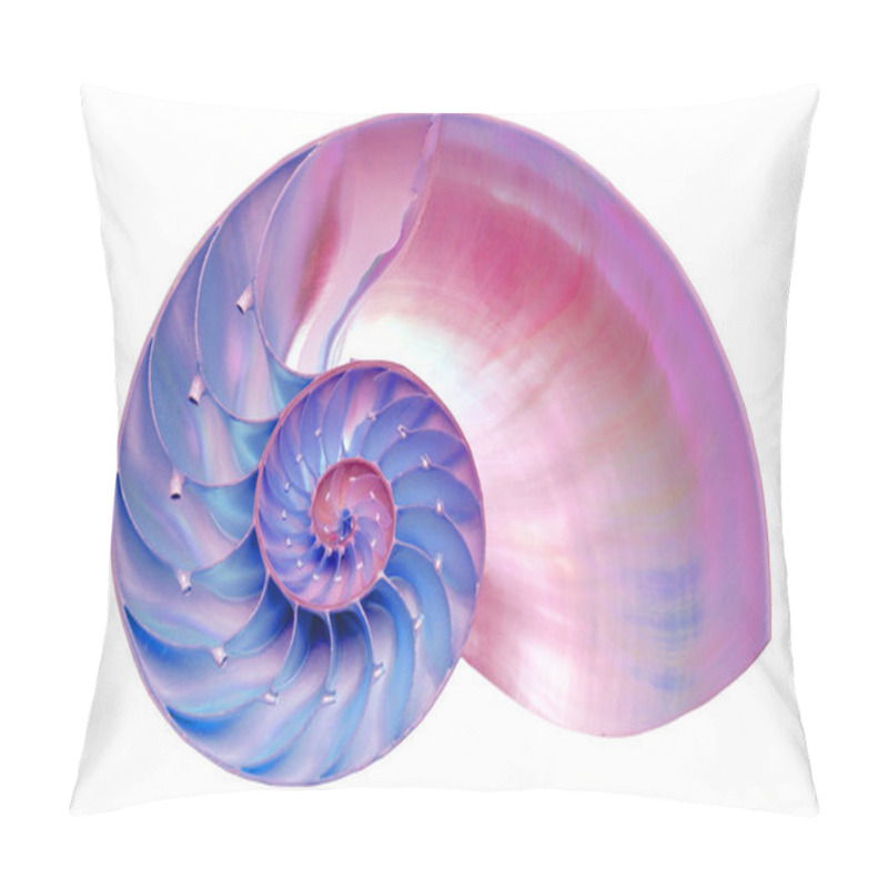 Personality  Nautilus Shell Section Isolated On Black Background Pillow Covers