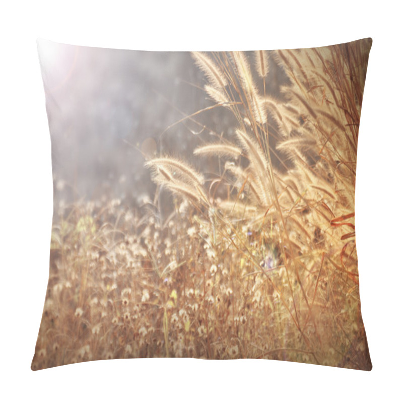 Personality  Foxtail Weed Grass Flowers Pillow Covers