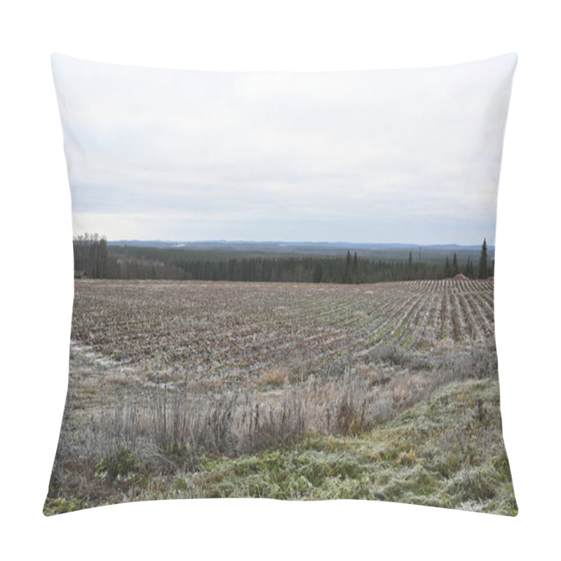 Personality  A Vast, Frosted Field On A Cloudy Day, With Neat Rows Of Crops Stretching Toward The Horizon. The Muted Tones Of The Landscape Are Punctuated By Patches Of Green Vegetation And Hints Of Brown Soil, Contrasting Against A Backdrop Of Dense Evergreen Fo Pillow Covers