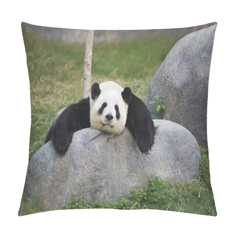 Personality  Big Panda Sleeping On The Stone Pillow Covers