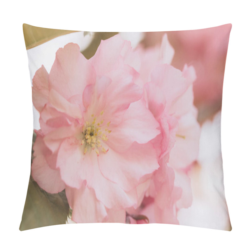 Personality  Close Up Of A Delicate Pink Flower Blooming In Spring, Showcasing Its Intricate Petals And Vibrant Color Pillow Covers