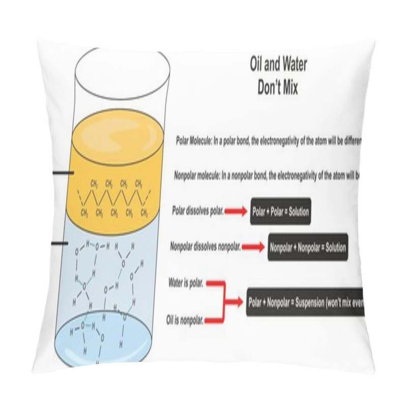 Personality  Water And Oil Dont Mix Infographic Diagram Showing Separated Layers And Molecules Of Each One For Chemistry Science Education Pillow Covers