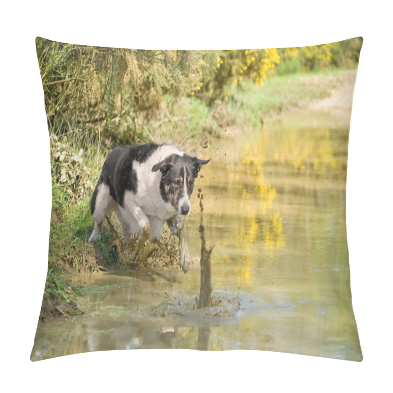 Personality  Splash Pillow Covers