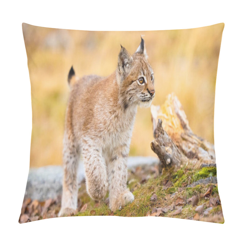 Personality  Close-up Of A Beautiful Eurasian Lynx Cub Walking In The Forest Pillow Covers