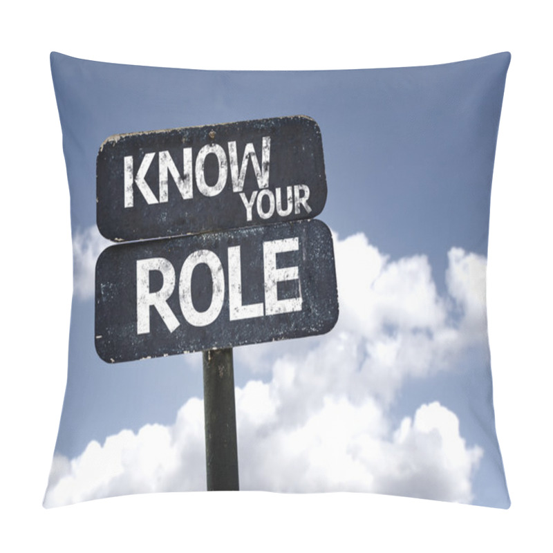 Personality  Know Your Role Sign Pillow Covers