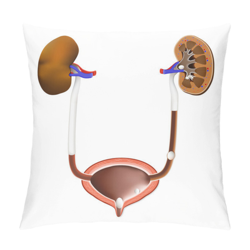 Personality  Stones In The Kidney, Urinary Bladder And Ureter Pillow Covers