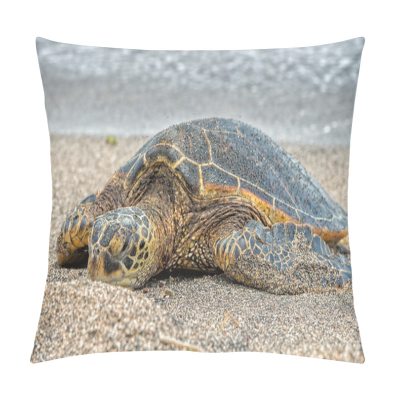 Personality  Green Turtle At Kahaluu Beach Park Pillow Covers