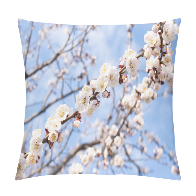 Personality  Spring Floral Background With Blooming White Sakura Pillow Covers