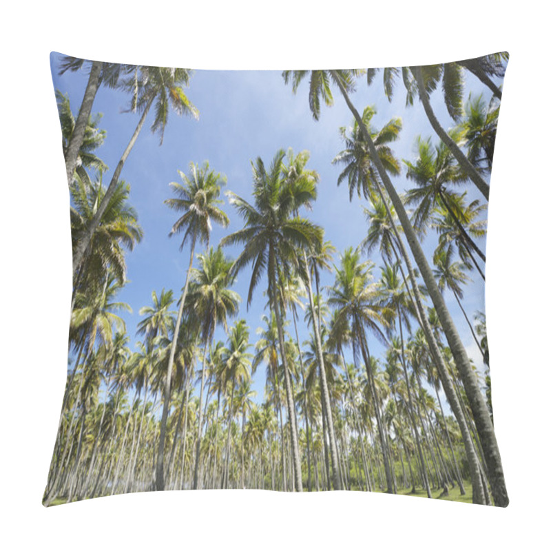 Personality  Coconut Palm Trees Grove Blue Sky Pillow Covers