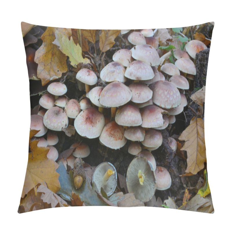 Personality  Hypholoma Sublateritium On Oak Stump Pillow Covers