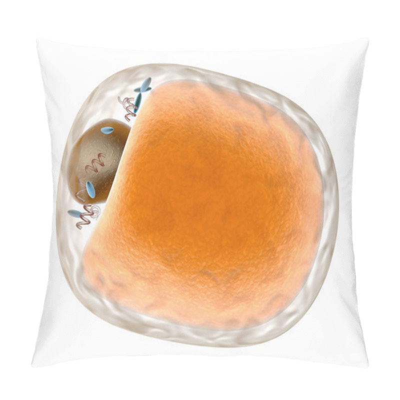 Personality  Fat Cell	 Pillow Covers