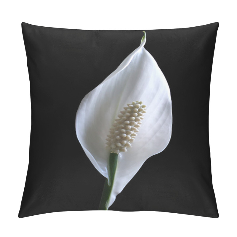 Personality  Calla Pillow Covers