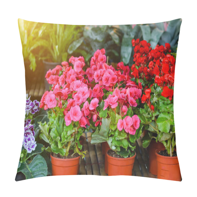 Personality  Begonia Flower. Pillow Covers