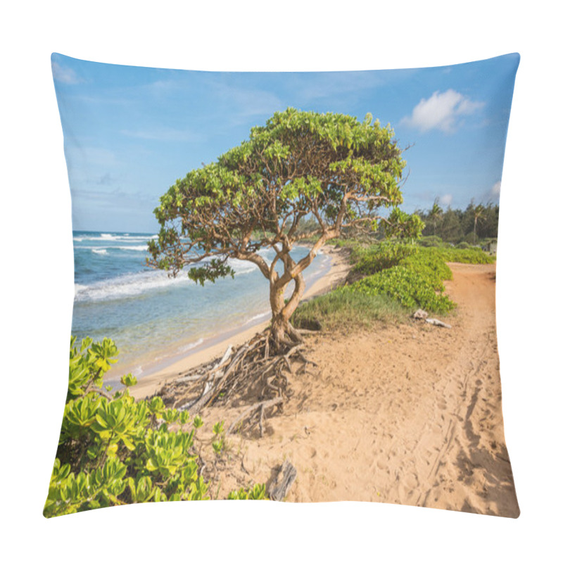 Personality  The Tree On The Beach, Kauai Pillow Covers