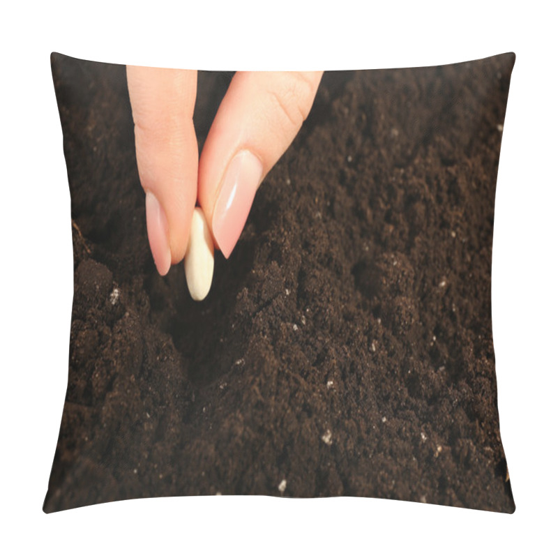 Personality  Female Hand Planting White Bean Seed In Soil, Closeup Pillow Covers