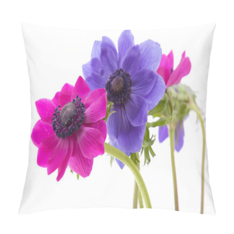 Personality  Anemone Pillow Covers