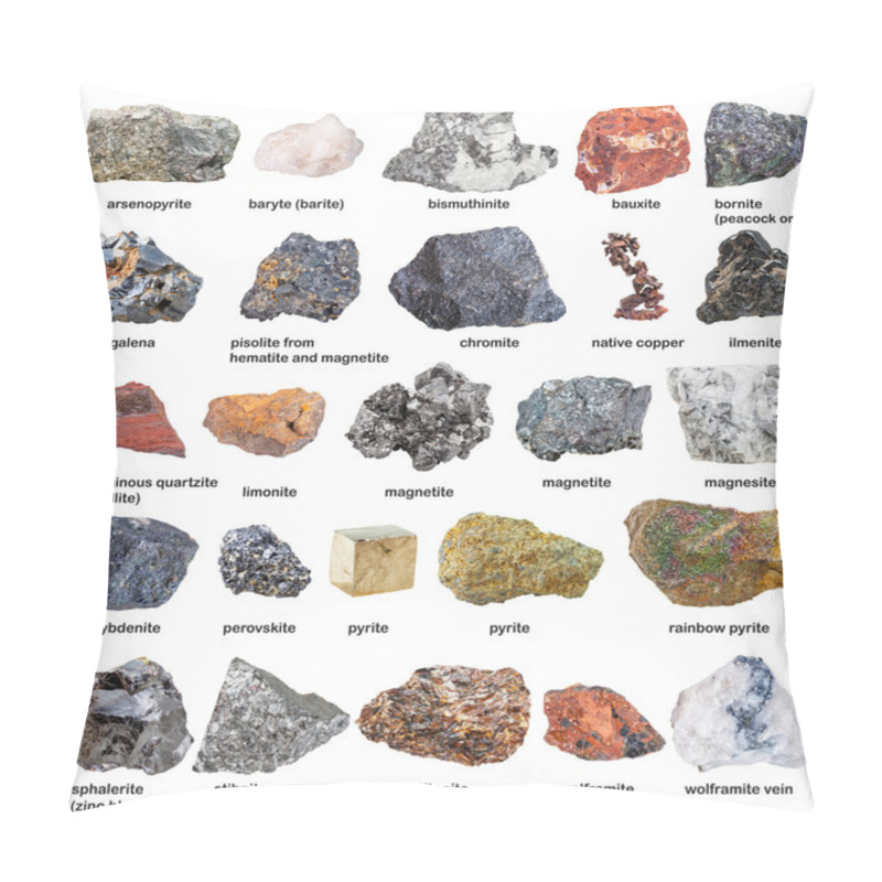 Personality  Collection From Raw Minerals And Ores With Names Pillow Covers