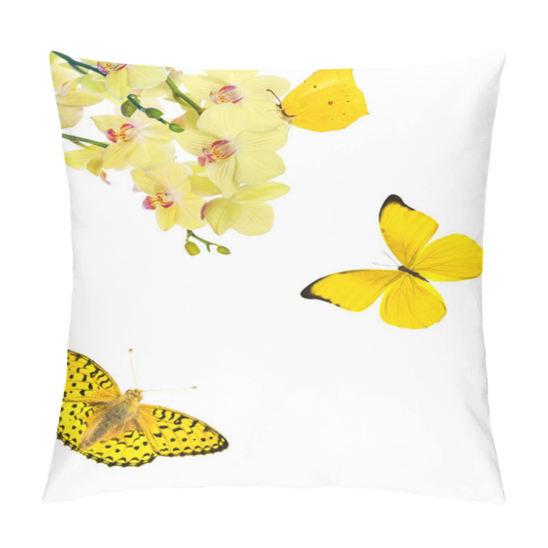 Personality  Light Yellow Orchid Flowers And Three Butterflies Pillow Covers