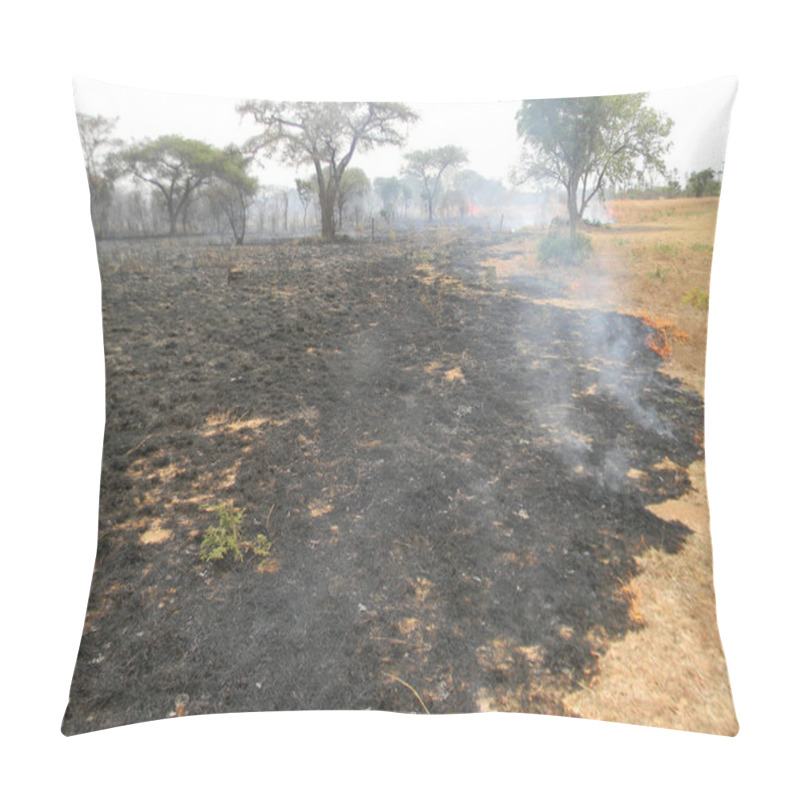 Personality   Chivhu, Zimbabwe.September 1 2015.  The  Aftermath  Of  A  Forest  Which  Is  Being  Destroyed  By  Bush  Fire In  Africa  Most  Forest  Fires Are Caused  By  People..F  Pillow Covers