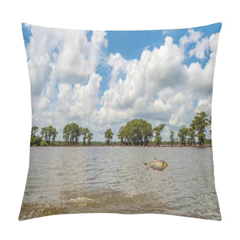 Personality  Asian Carp Jumping Out Of The Water In The Atchafalaya National Wildlife Refuge Pillow Covers