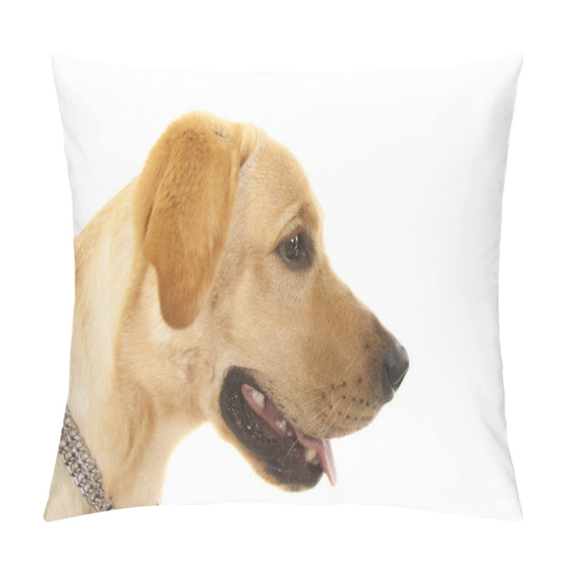 Personality  Golden Retriever Portrait Pillow Covers