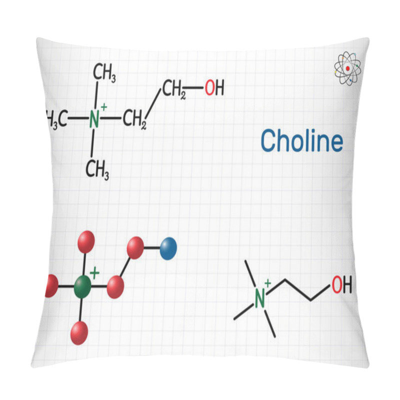 Personality  Choline Vitamin-like Essential Nutrien Molecule. It Is A Constituent Of Lecithin. Structural Chemical Formula And Molecule Model.  Pillow Covers