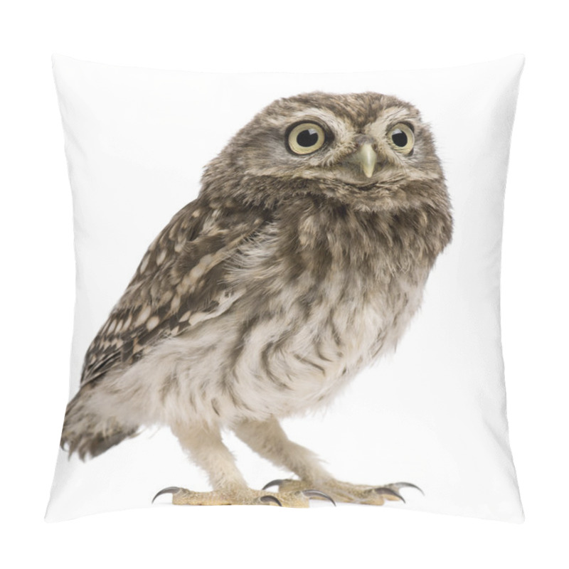 Personality  Little Owl, 50 Days Old, Athene Noctua, Standing In Front Of A White Background Pillow Covers