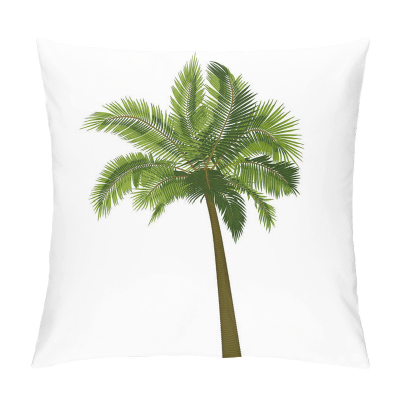 Personality  Coconut Straight Palm Tree. Vector Illustration Of Palm Tree Trunk, Foliage, Branches, Leaves. Image Of Tropical Tree In Vector. Illustrations Of Vector Tree. Pillow Covers