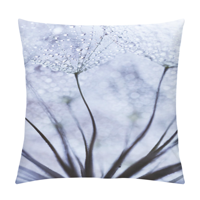 Personality  Plant Seeds With Water Drops Pillow Covers