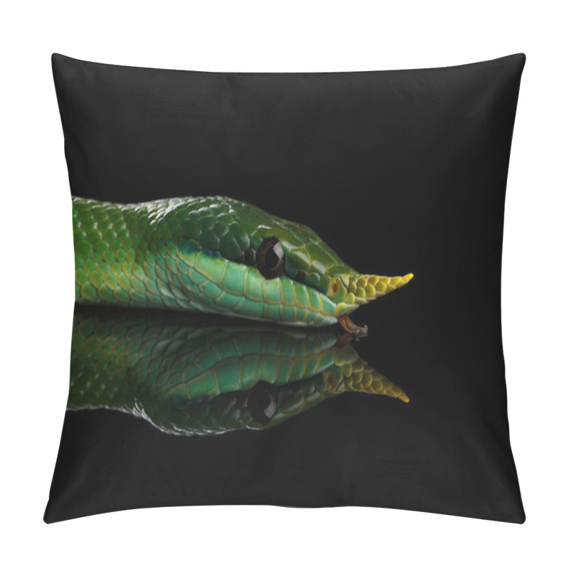 Personality  Green Long Nosed Snake, Rhinoceros Ratsnake Isolated On Black Background With Reflection Pillow Covers